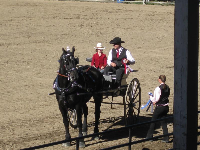 Idaho State Draft Horse and Mule International Class Schedule