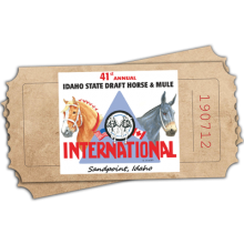 Tickets and Camping
